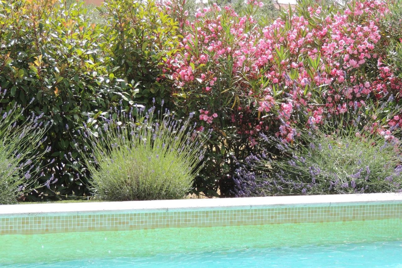 Villa des Cigales Beaucaire  Extérieur photo