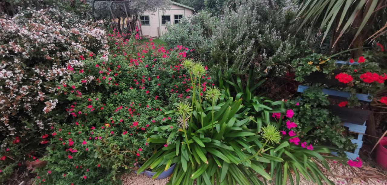 Villa des Cigales Beaucaire  Extérieur photo